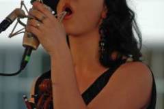 Bluegrass Festival XII