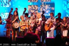 IBMA 2008