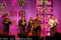 IBMA 2008