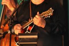 Christmas in the Smokies