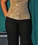 Christmas in the Smokies