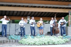 Detour Bluegrass