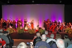 Veterans Tribute