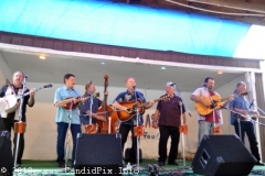 Charlotte Bluegrass Festival 2010