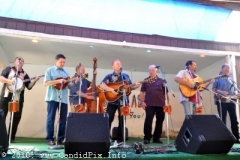 Charlotte Bluegrass Festival 2010