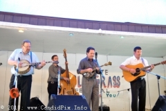 Charlotte Bluegrass Festival 2010