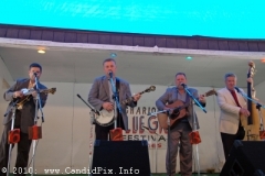 Charlotte Bluegrass Festival 2010