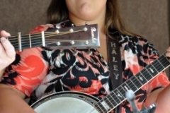 Milan Bluegrass Festival 2010