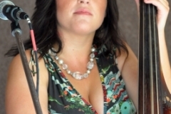 Milan Bluegrass Festival 2010