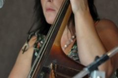 Milan Bluegrass Festival 2010
