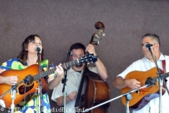 Milan Bluegrass Festival 2010