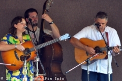 Milan Bluegrass Festival 2010