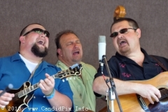 Milan Bluegrass Festival 2010