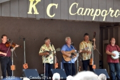 Milan Bluegrass Festival 2010