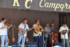 Milan Bluegrass Festival 2010