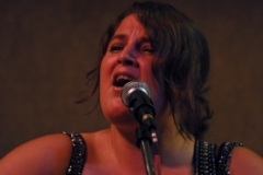 Milan Bluegrass Festival 2010