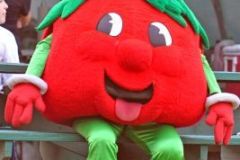 Vine Grove 2010 Friday