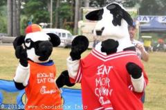 Red White & Bluegrass 7-4-2011