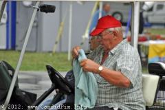 Milan Bluegrass Festival