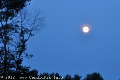 Morganton12_345
