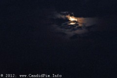 Morganton12_475
