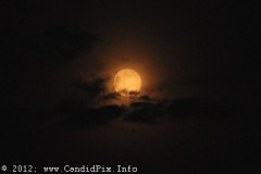 Morganton12_488