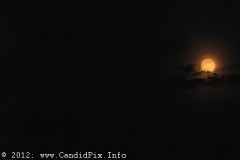 Morganton12_489