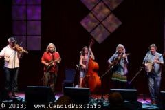 IBMA WOB 2013