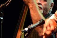 World of Bluegrass 2013