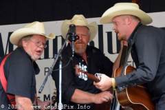 Milan Bluegrass Festival 2013