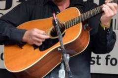 Milan Bluegrass Festival 2013
