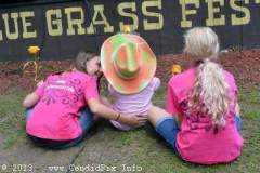 Milan Bluegrass Festival 2013