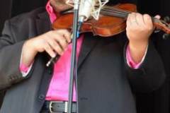Milan Bluegrass Festival 2013