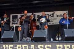 Milan Bluegrass Festival 2013