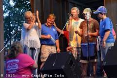Milan Bluegrass Festival 2013