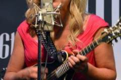 Milan Bluegrass Festival 2013