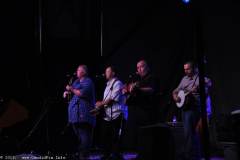Red White and Bluegrass