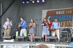 Red White & Bluegrass