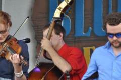 Red White & Bluegrass