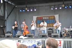 Red White & Bluegrass