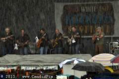 Red White and Bluegrass