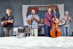 Red White and Bluegrass