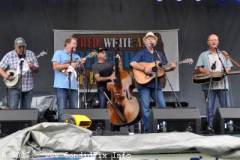 Red White and Bluegrass