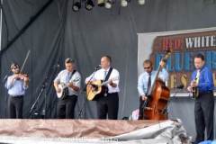 Red White & Bluegrass