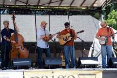 Charlotte Bluegrass Festival 2014
