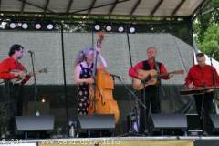 Charlotte Bluegrass Festival 2014