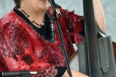 Charlotte Bluegrass Festival 2014