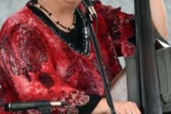 Charlotte Bluegrass Festival 2014