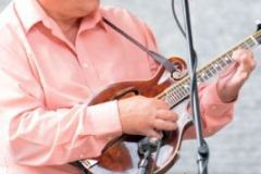 Charlotte Bluegrass Festival 2014