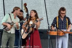 Charlotte BluegrassFestival